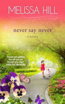 Never Say Never (Lakeview Contemporary Romance Book 3)