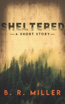 Sheltered - A Short Story