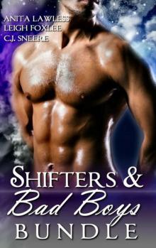 Shifters & Bad Boys Bundle (Shifters & Bad Boys. Man love, bdsm, and rockstar romance. Book 1)