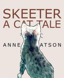 Skeeter: A Cat Tale