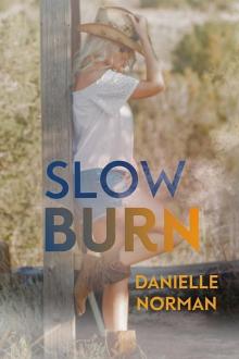 Slow Burn: Iron Horse Series