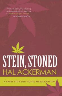 Stein,stoned s-1