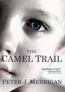 The Camel Trail