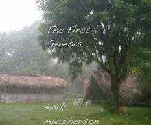 The First Genesis