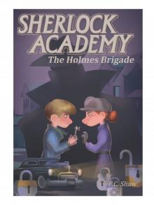 The Holmes Brigade