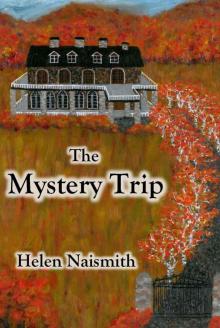 The Mystery Trip