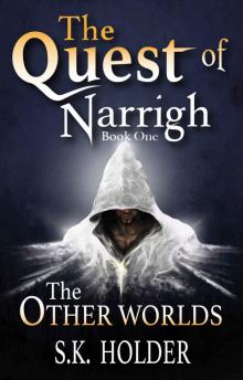 The Quest of Narrigh (The Other Worlds Book 1)