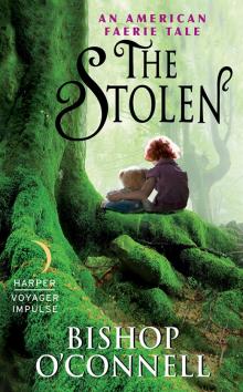 The Stolen: An American Faerie Tale