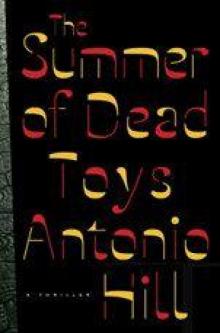 The Summer of Dead Toys