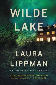 Wilde Lake: A Novel