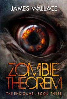 Zombie Theorem (Book 3): The End Game